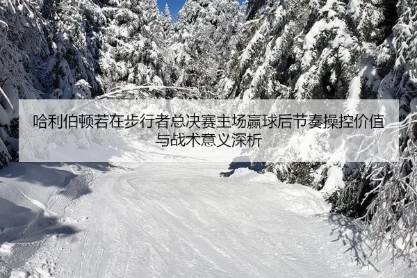 ha-li-bo-dun-ruo-zai-bu-xing-zhe-zong-jue-sai-zhu-chang-ying-qiu-hou-jie-zou-cao-kong-jia-zhi-yu-zhan-shu-yi-yi-shen-xi-2-482.jpg