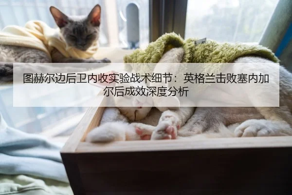 tu-he-er-bian-hou-wei-nei-shou-shi-yan-zhan-shu-xi-jie-ying-ge-lan-ji-bai-sai-nei-jia-er-hou-cheng-xiao-shen-du-fen-xi-2-414.jpg